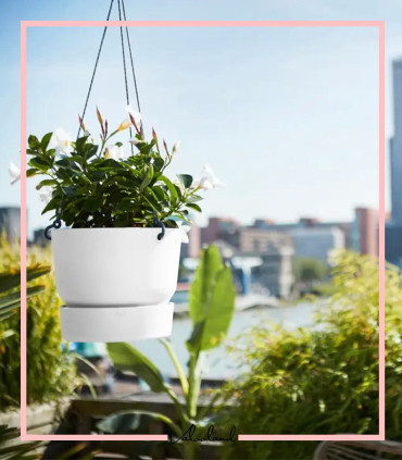 گلدان دهکده سبز گرد مشکی