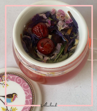 لیوان دمنوش ساز وارداتی