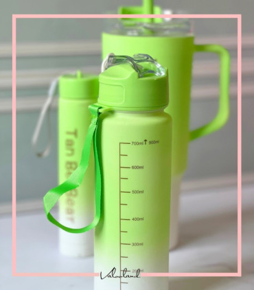 قمقمه سه قلو طرح استنلی