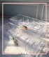 نظم دهنده پنچ خانه الماس