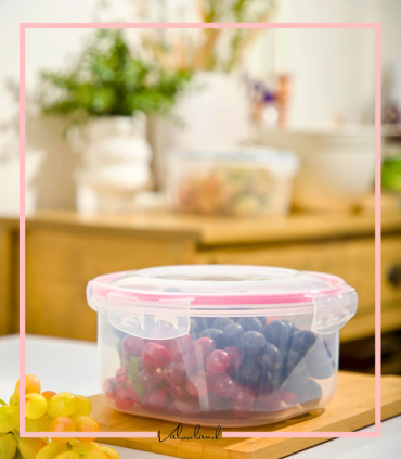 ظرف فریزری اکولاک 4