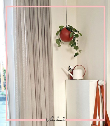 گلدان آویز هوای تازه رنگی