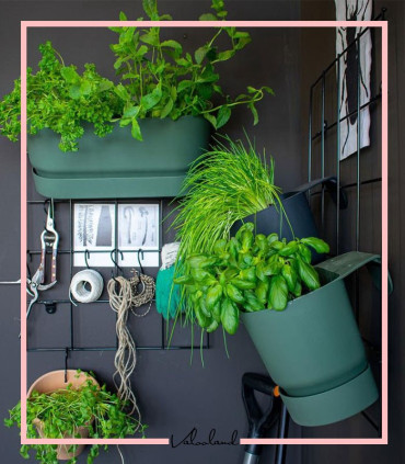 توری فلزی دیواری