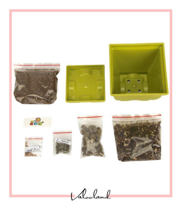 بسته باغبانی گلدان کوچولو