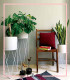 گلدان آپارتمانی استوانه ای