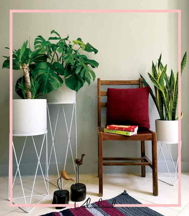 گلدان آپارتمانی استوانه ای