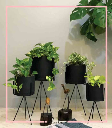 گلدان آپارتمانی استوانه ای