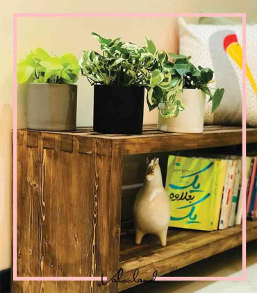 گلدان آپارتمانی استوانه ای