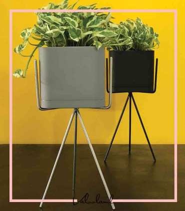 گلدان آپارتمانی مکعبی