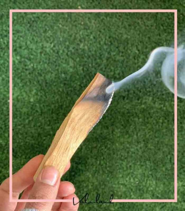 چوب پالو سانتو