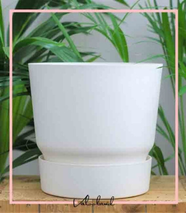 گلدان دهکده سبز گرد مشکی