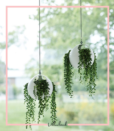 گلدان آویز هوای تازه رنگی