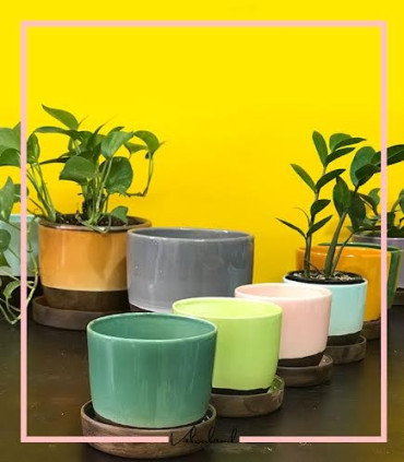 گلدان سفالی همراه با زیر گلدانی