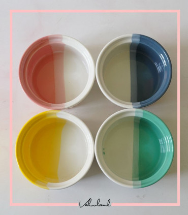 رمکین رنگی بزرگ دنی هوم