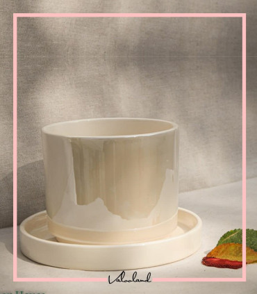 گلدان گیاه سرامیکی