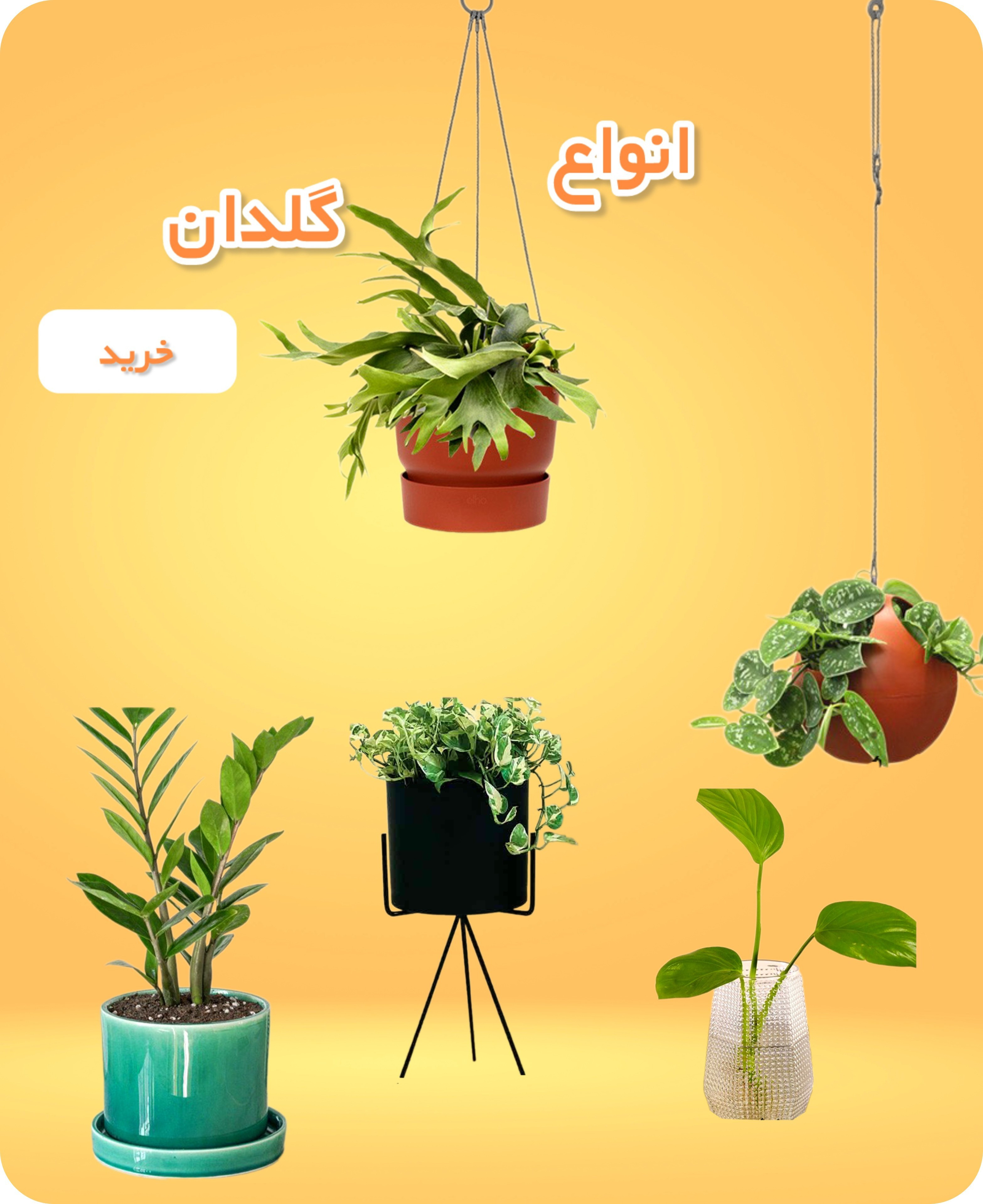 انواع گلدان