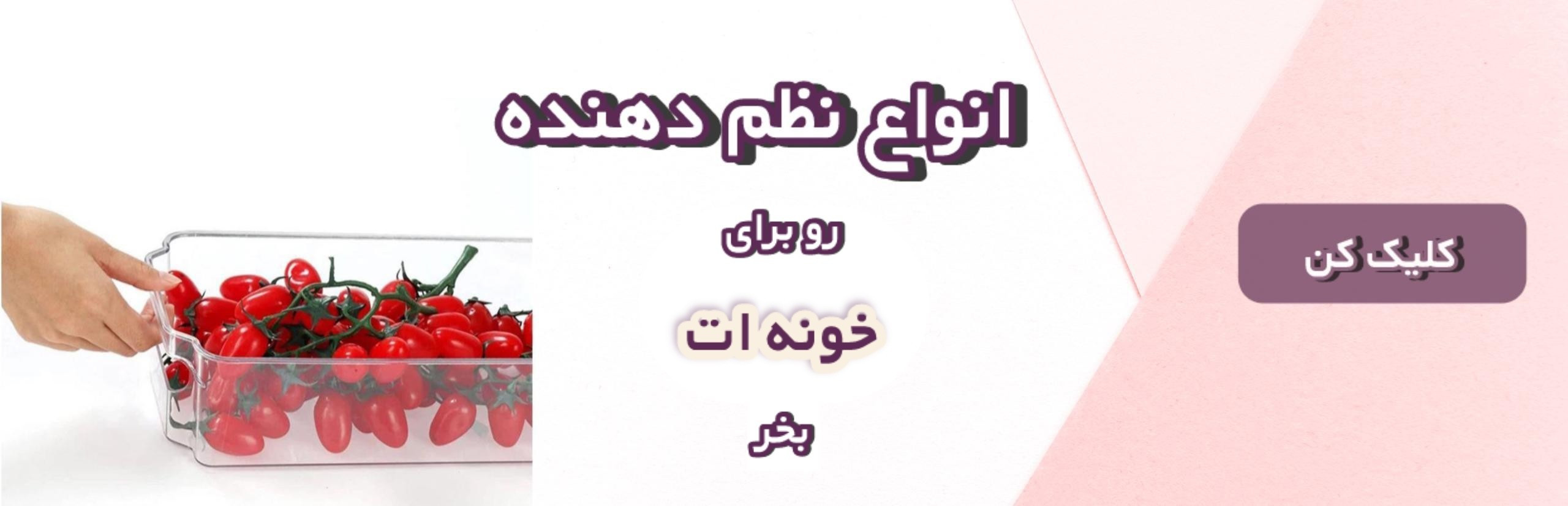 انواع نظم دهنده